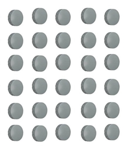 30x Magnete, Grau Ø 24mm, Haftmagnete für Whiteboard, Kühlschrankmagnet, Magnettafel, Magnetwand, Magnet Rund -