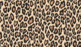 Fablon Klebefolie Leopard, 45 cm x 2 m -