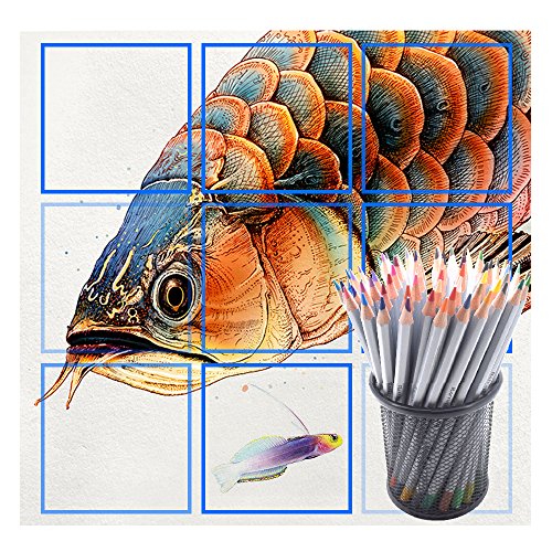 Raffine Marco Buntstifte, AFUNTA 72 Farben Assorted Colored Pencils perfekt für Ihre Kunst-Zeichnung -