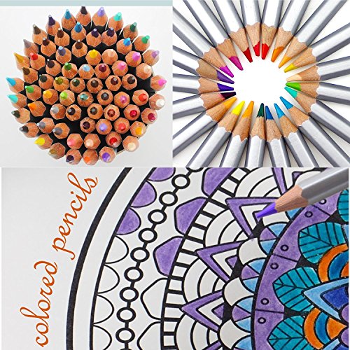 Taotree 72 Farben Art Colored Pencils /Buntstifte Farbstifte Zeichenstift für Künstler Skizzierung Zeichnung Schreiben/ Geheimer Garten Malbuch (72 Farben) -